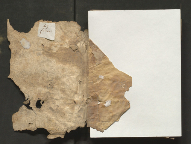 Recueil de sermons, dont manque le début