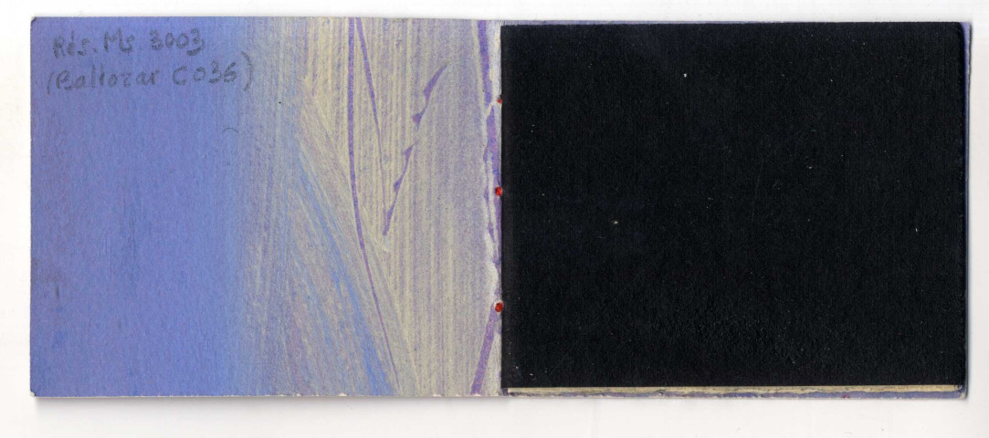 Comme un repli du temps dans le jardin diminué