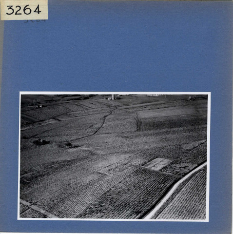 Beaulieu-sur-Layon : Vignoble, vue aérienne