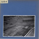 Beaulieu-sur-Layon : Vignoble, vue aérienne