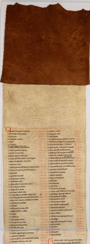 Cartulaire de l'abbaye de Notre-Dame du Ronceray, en six rouleaux opisthographes. « Primus rotulus » : longueur 5,448 m, largeur 0,300 m. Cent chartes, dont table en tête.