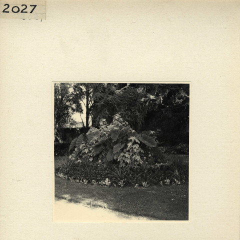 Angers : Jardin des Plantes