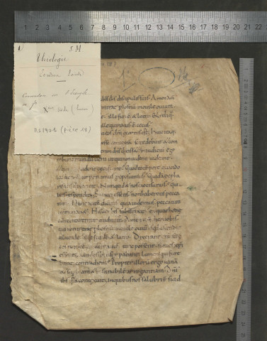 Fragment d'un commentaire sur l'Evangile (Xe siècle environ)