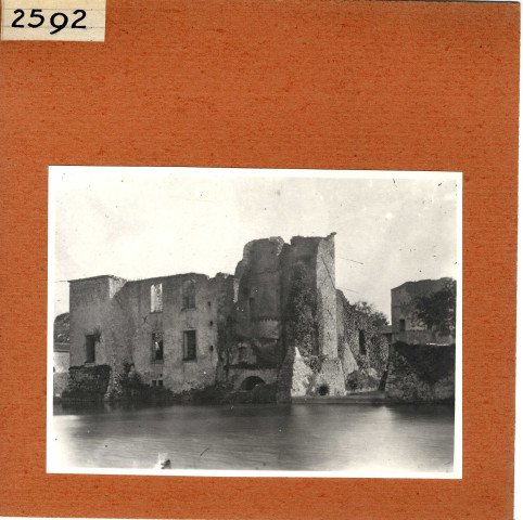 Saint-Aubin-de-Baubigné : Ruines du château de la Durbelière
