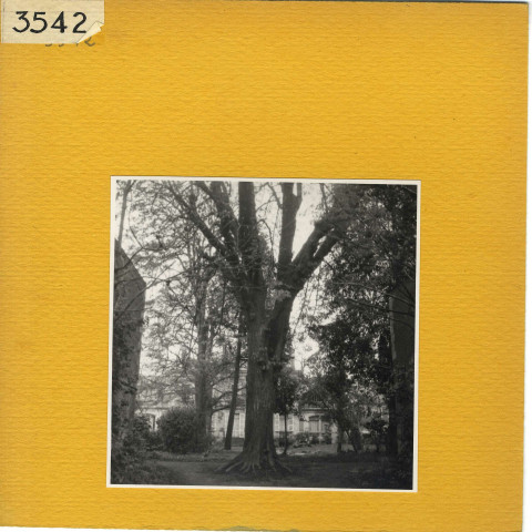 Angers : Square de Contades