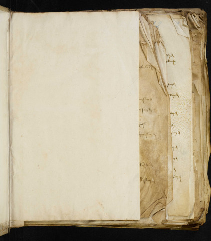 Comptes des cens et rentes de l'église collégiale de Saint-Martin d'Angers : vol. I