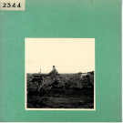 Le Thoureil : Vignoble, côteaux de la Loire (près de l'Abbaye de Saint Maur)