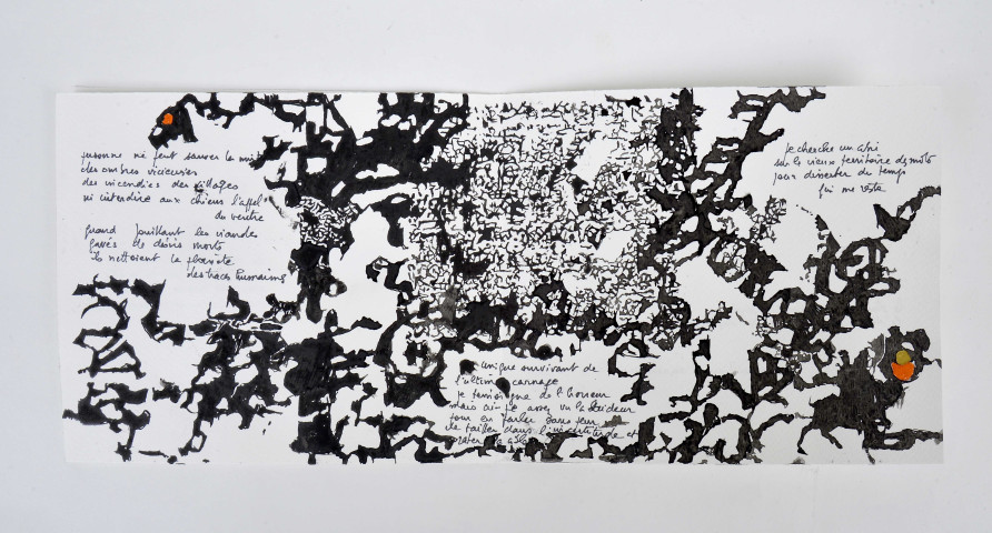 Mes petites fins du monde. 2