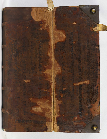 « Ce sont les cens, rentes et debvoirs deuz et rendus chascun an à madame Alienor de Champagne, par la grace de Dieu humble abbesse du moustier et abbaye de Nostre-Dame d'Angiers, aux termes de Noel et Saint Jehan Baptiste, ... receuz par moy Gervaise Davaines, maistre en ars et bachelier en loix, receveur dudit moustier, pour l'an mil IIIIc soixantte »