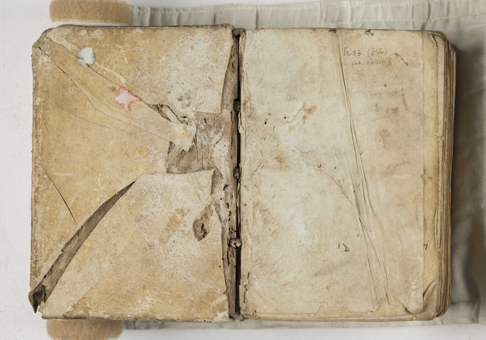 « Incipit tractatus in Canticis canticorum. Osculetur... Salomon, inspiratus divino Spiritu, composuit hunc libellum... » « Explicit tractatus Cantici canticorum. Deo gratias. » Publié sous le nom d'Haymon d'Halberstadt, Migne, CXVII, 295