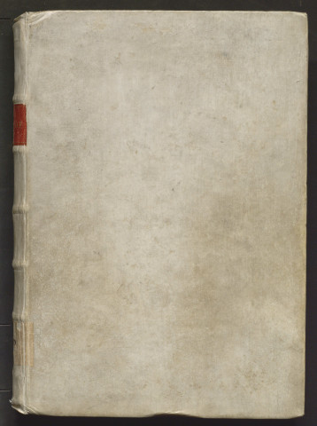 Graduel noté en neumes. Le début manque ; beaucoup de feuillets ont été transposés