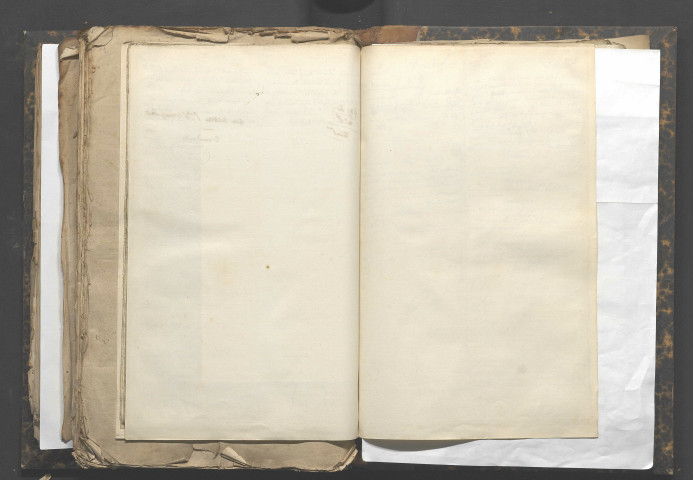 Un neveu, s'il vous plaît