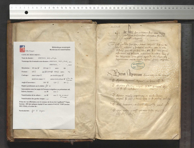 Pouillé du chapitre cathédral d'Angers