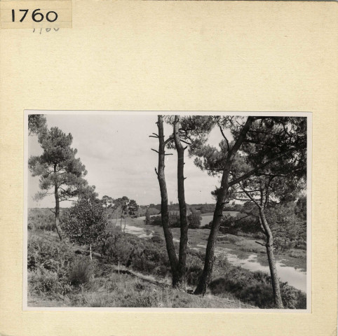 Angers : Parc de La Haye