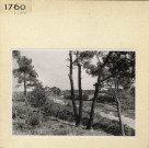 Angers : Parc de La Haye