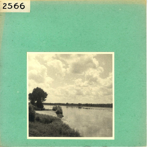 Saint-Mathurin-sur-Loire : La Loire