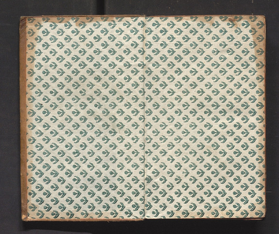 Waaren-Lexicon in Zwölf Sprachen der Hamburgischen Dommerz-Deputation zugeeignet von Philipp Andreas Nemnich, I.U.L.