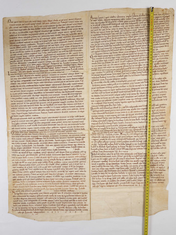 Pancarte du XIIe siècle, renfermant la copie de plusieurs donations du comte d'Anjou, Foulques V, à l'Ordre de Fontevraud.