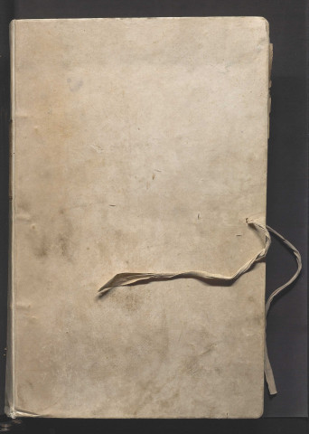 Collection de titres et de documents concernant l'église collégiale de Saint-Laud (XIe siècle - XVIIIe siècle). Volume I