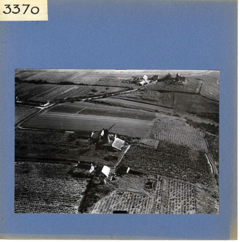 Saint-Aubin-de-Luigné : Vignoble (vue aérienne)