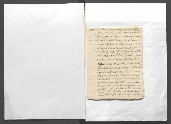 Papiers de la marquise de Contades ; consultations de médecins, recettes médicales, pharmaceutiques et ménagères ; agriculture et économie domestique ; extraits d'imprimés
