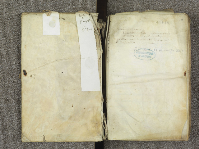 « Haec insunt in hoc codice : libri sancti Augustini episcopi adversus quinque hereses liber I ; adversus Manicheos libri IIII (fol. 14) ; contra Maximinum, Arrianorum episcopum, libri III (fol. 60) ; contra Pascentium, vir. spect., arrianum de omousiou liber I (fol. 154) »