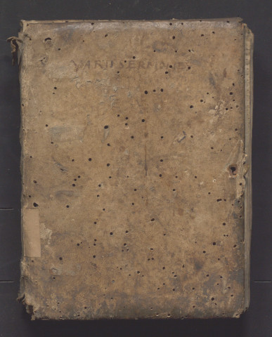 Recueil de thèmes de sermons et de notes pour les prédicateurs ; beaucoup de thèmes pour les fêtes de la Vierge