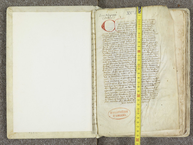 Doctrinal de Sapience