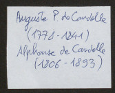 Candolle, Alphonse de