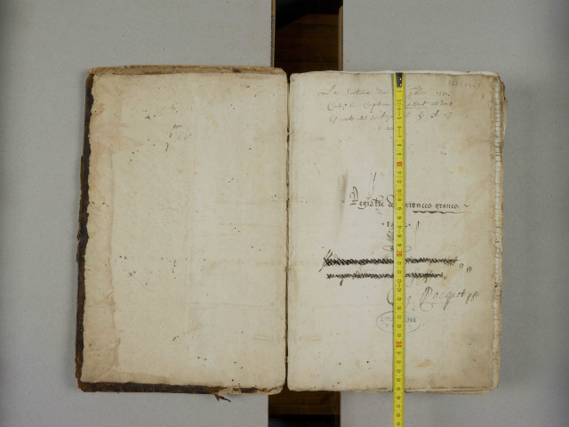 « Registre des remembrances du greffe criminel de la seneschaucée d'Anjou, à Angiers, et du siège présidial dudit lieu, ouquel seront enregistrées les sentences données ès dits seneschaucie et siège présidial, portans condamnation de mort, peine corporelle ou infamie, et d'entérinement des lettres royaulx de rémission ou pardon »