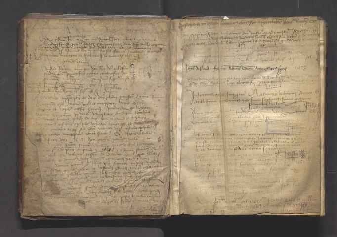 Statuta Universitatis Andegavensis