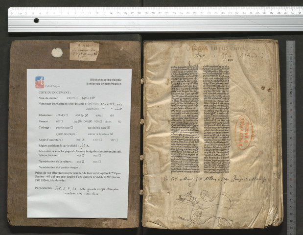 Recueil de fragments de traités juridiques