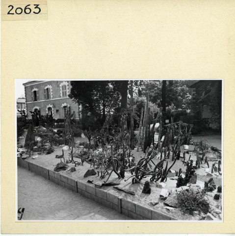 Angers : Jardin des Plantes