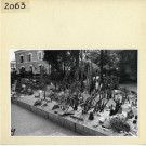 Angers : Jardin des Plantes