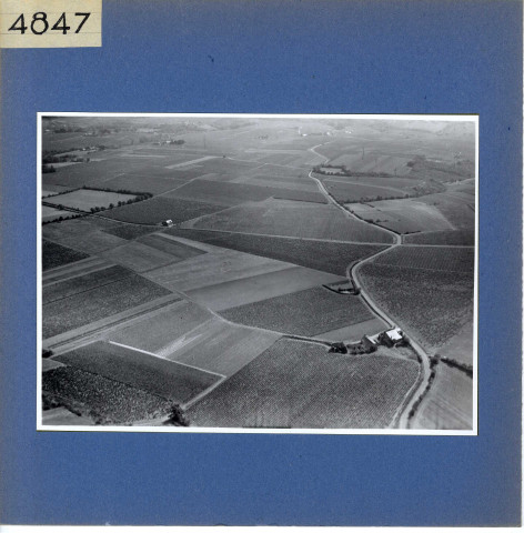 Rochefort-sur-Loire : Chaume (vue aérienne)