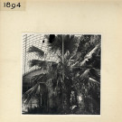 Angers : Serre, jardin des Plantes