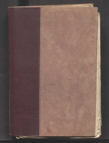 Dogmes musicaux (1904-1907)