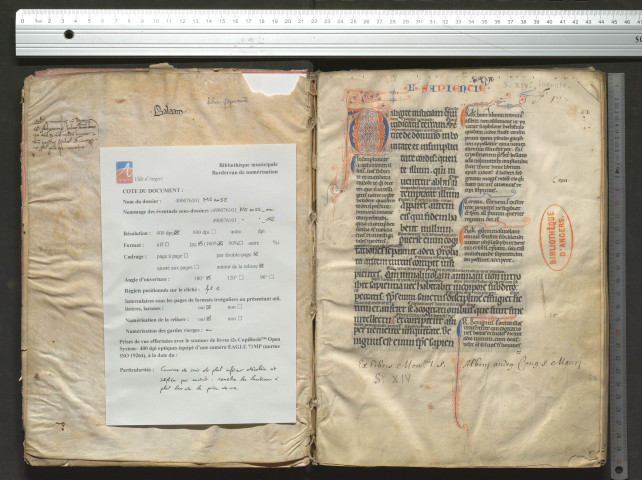 Glose ordinaire sur la Sagesse : « Rab. Hunc librum Jeronimus asserit... »