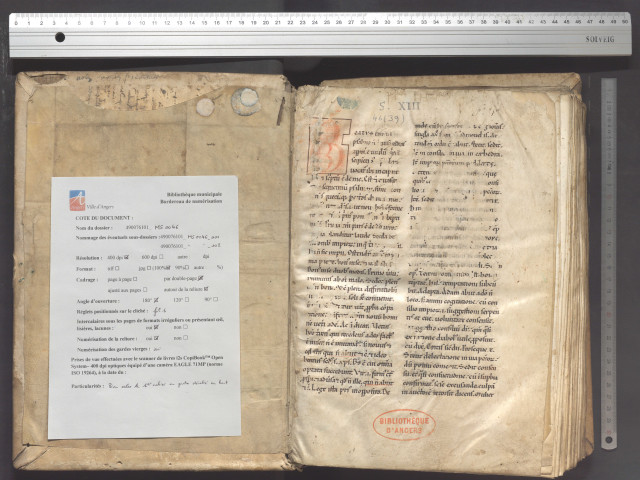 Glose sur les psaumes I à C.