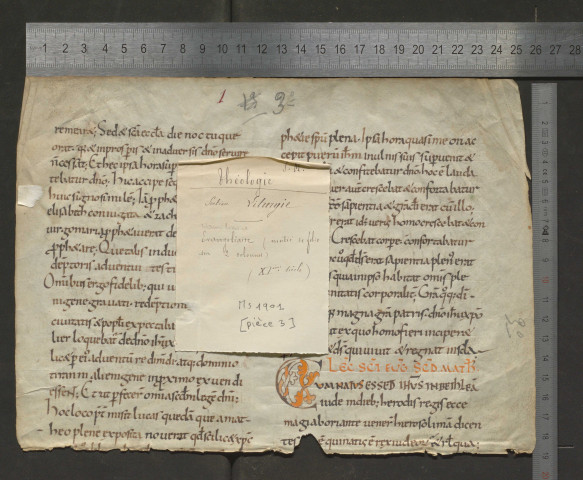 Fragment d'homéliaire (XIe siècle)