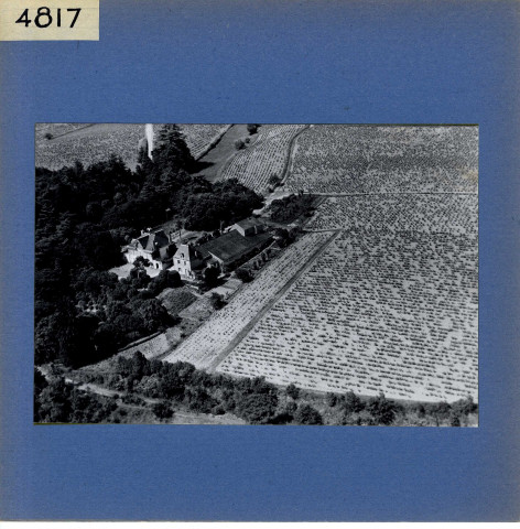 Rochefort-sur-Loire : Belle rive (vue aérienne)