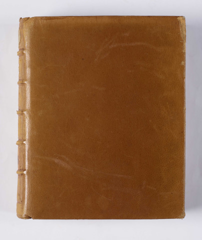 Thèmes de sermons. « Mulier gratiosa inveniet gloriam. Proverb. XI. Mulier ista fidelis est anima, que nunc... »