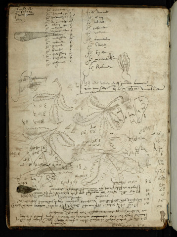 Commentarii Petri Tatareti in libros philosophie naturalis et metaphysice Aristotelis...