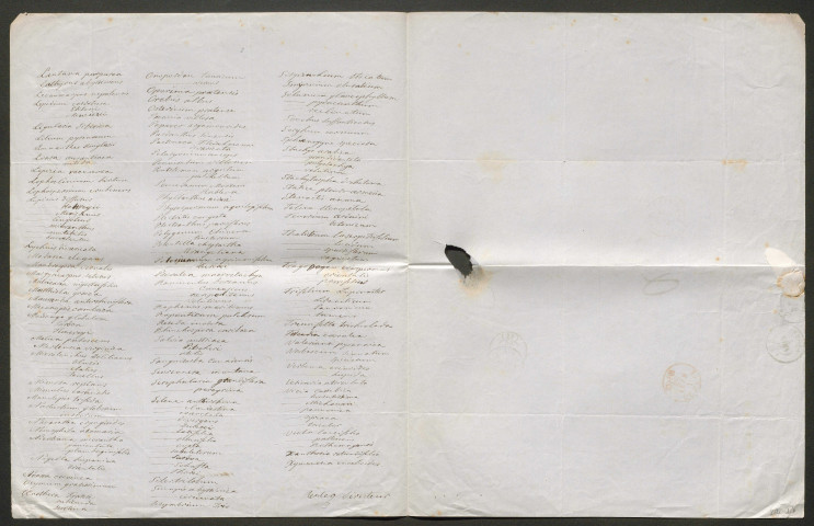 Reuter, Georges François