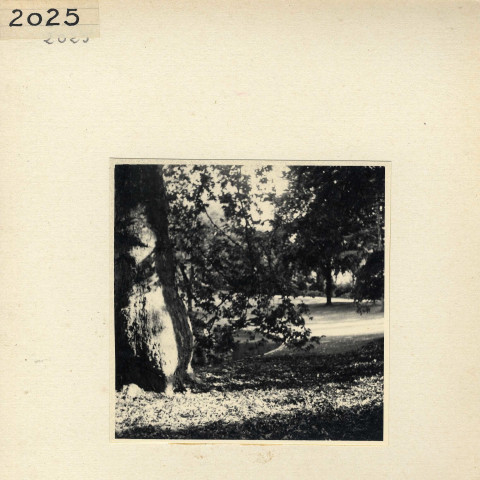 Angers : Jardin des Plantes