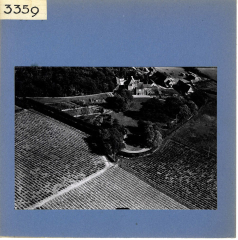 Rochefort-sur-Loire : La Guimonière (vue aérienne)