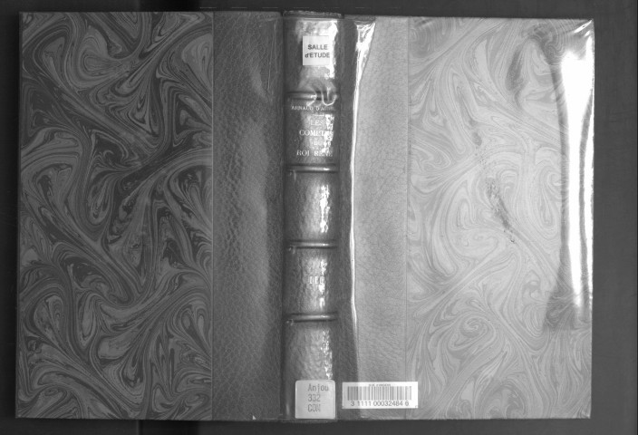 Les Comptes du roi René. Tome 3