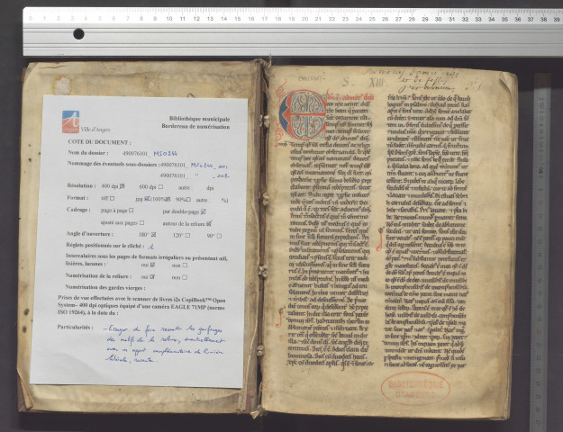 Recueil de sermons pour les dimanches et les fêtes de l'année