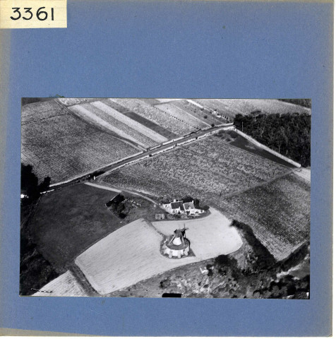 Saint-Aubin-de-Luigné : Vignoble (vue aérienne)