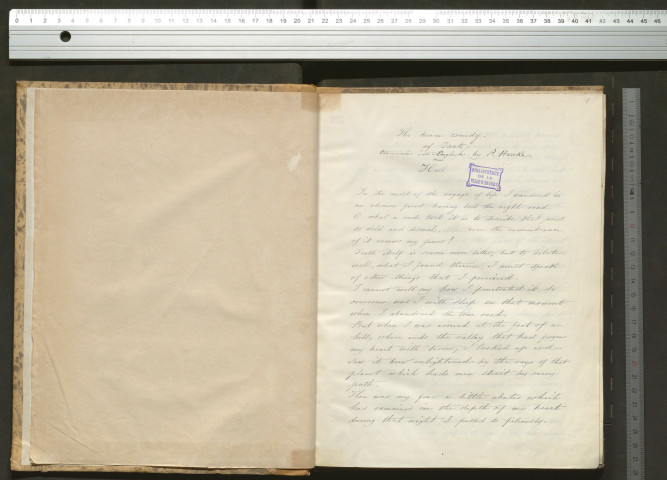 « The divine Comedy of Dante, translated into english by P. Hawke »